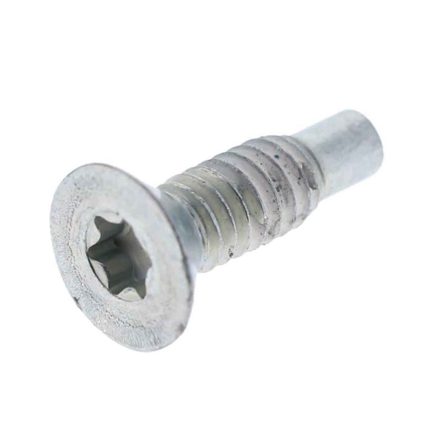 Briggs and Stratton 796208 - Screw OEM