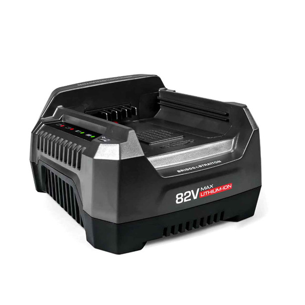 1760263 Briggs and Stratton OEM 82V Rapid Charger B&S 110V 60Hz