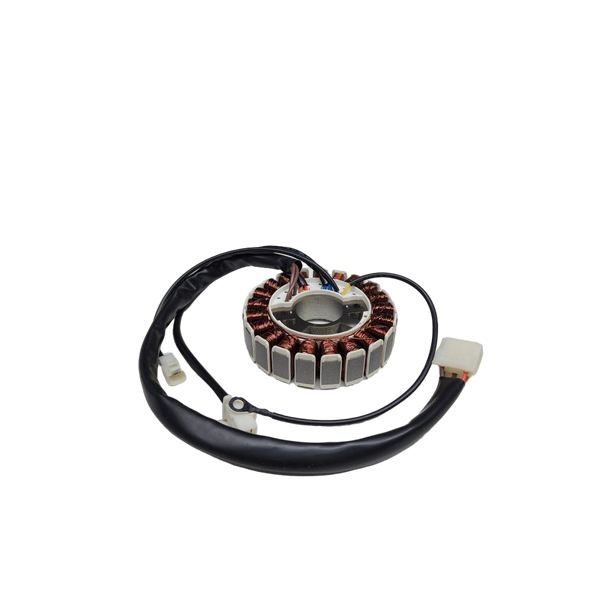 314525Gs - Stator - Briggs and Stratton - Genuine OEM Part