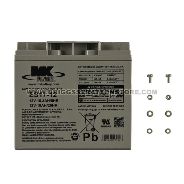 BRIGGS AND STRATTON 316345GS - BATTERY - Image 2