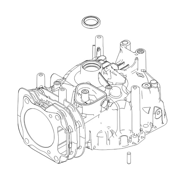 BRIGGS & STRATTON CYLINDER ASSEMBLY 596413 - Image 1