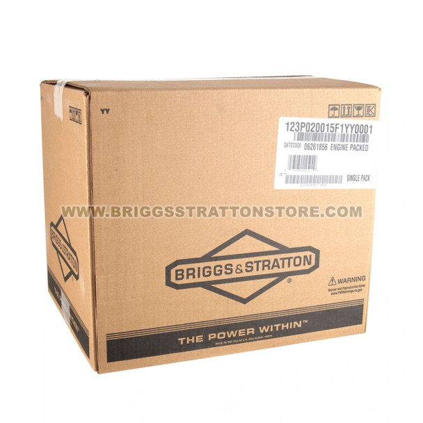 Briggs And Stratton 123P02-0015-F1 - Engine Packed Single Carton - Image 7