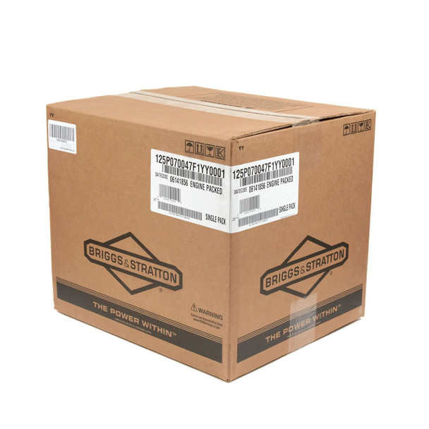 Briggs And Stratton 125P07-0047-F1 - Engine - Image 8