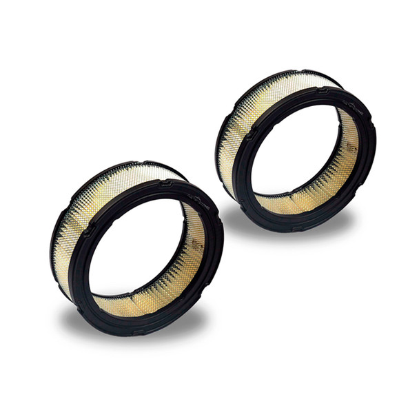 394018S Air Filter Briggs and Stratton Pack 2 OEM 394018S Air Filter Briggs and Stratton Pack 2 OEM