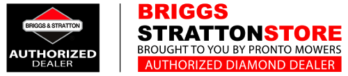 ON and OFF Switches | Briggs & Stratton Genuine Parts