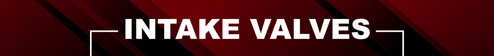 Intake Valves