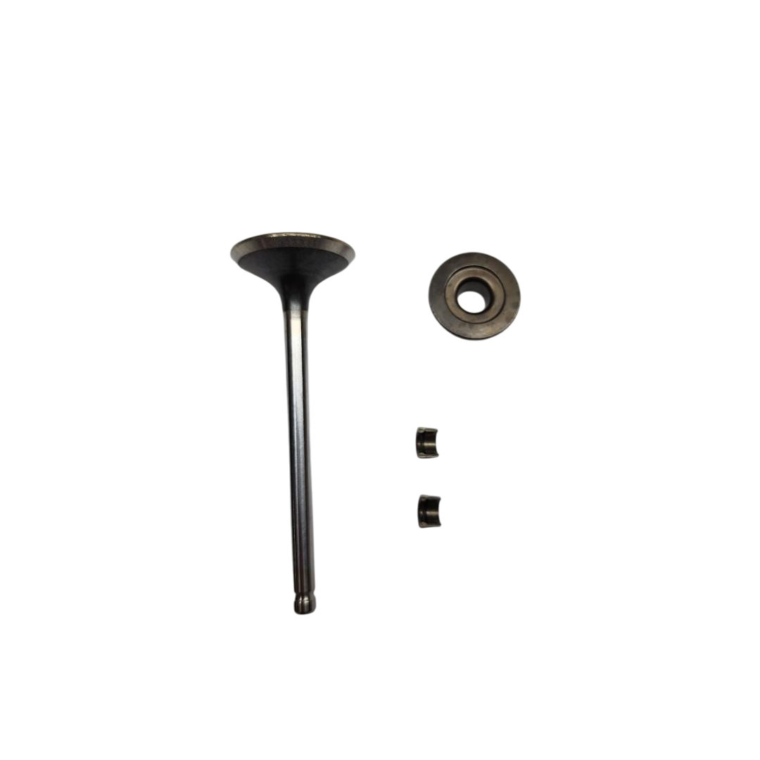 792868VALVEEXHAUSTBriggsandStr