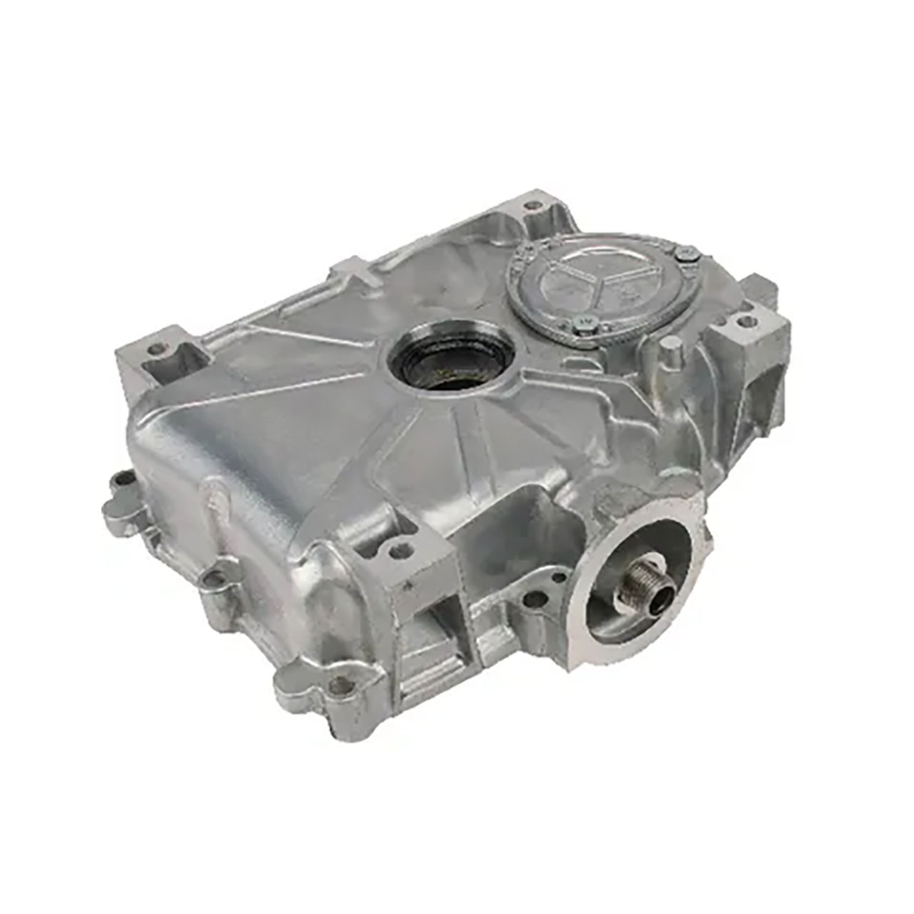BriggsAndStratton796307-Sump-
