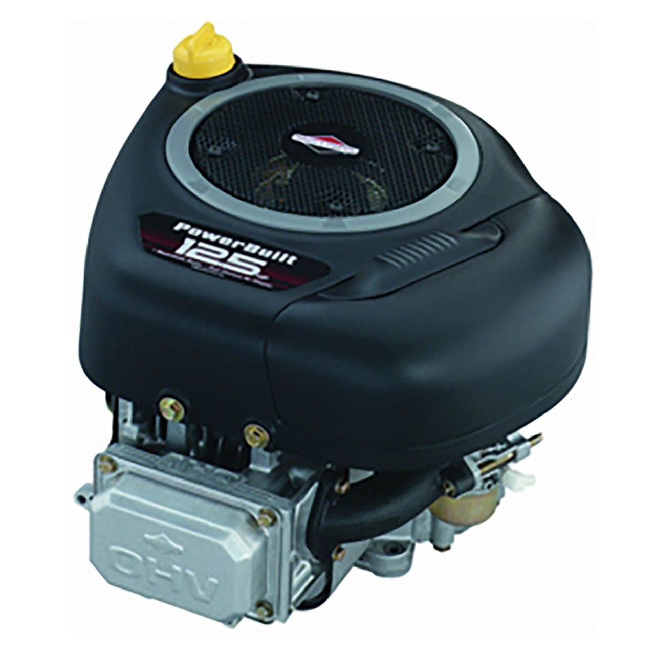 Briggs and Stratton 219807-4028 - Engine Packed Single Carton