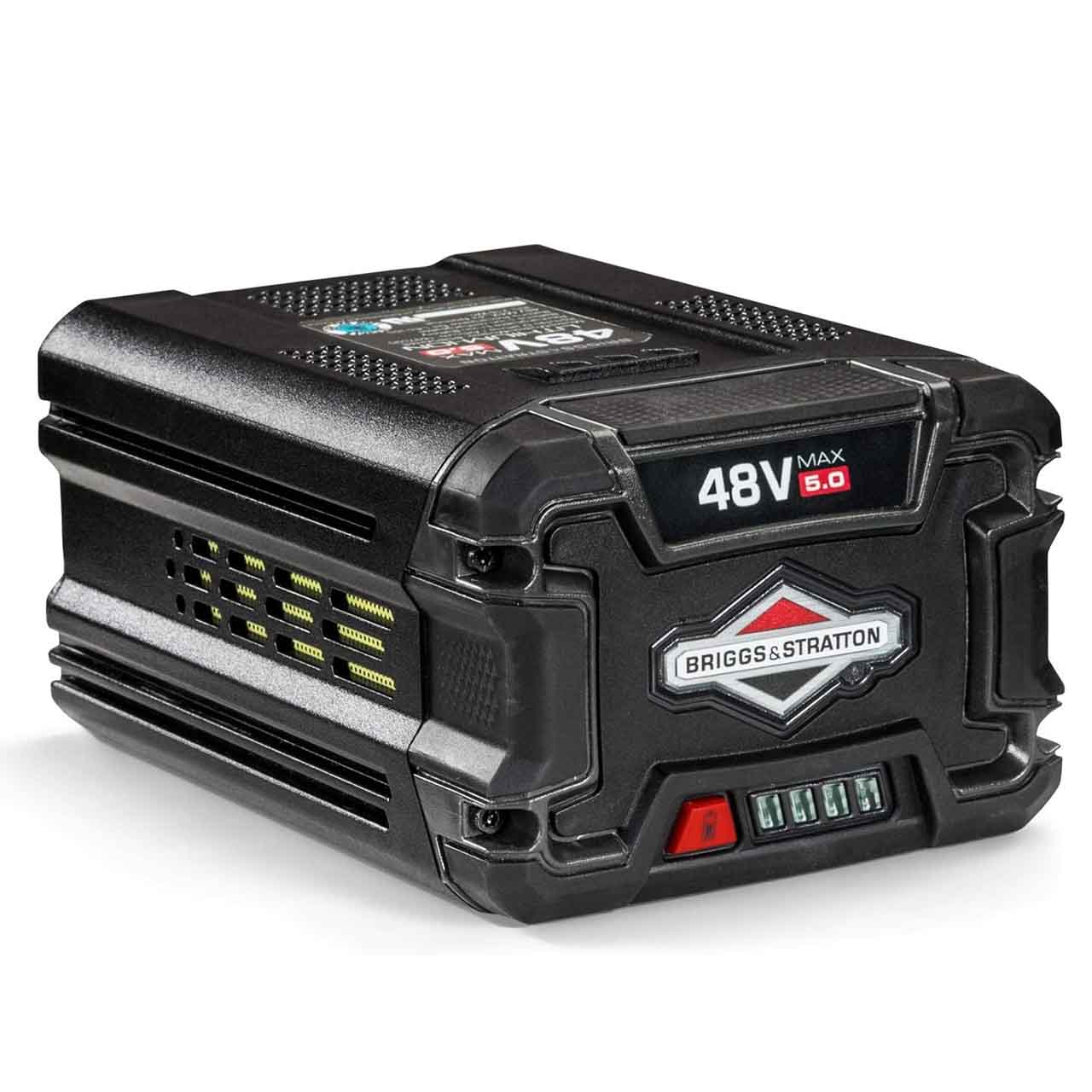 briggsandstratton169709048vlii