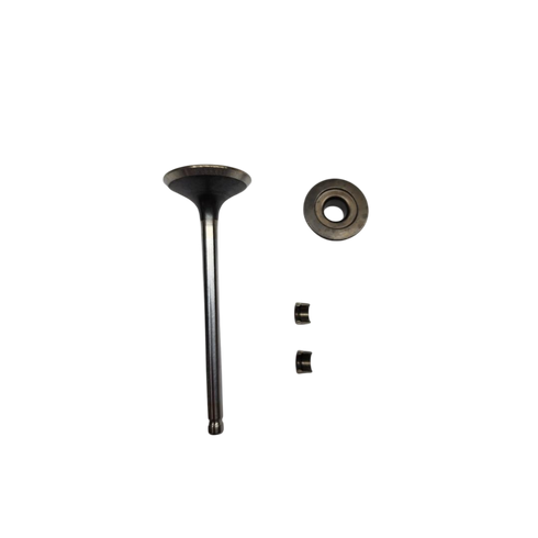 Briggs and Stratton ValveExhaust **SUPERSEDED TO 84012919