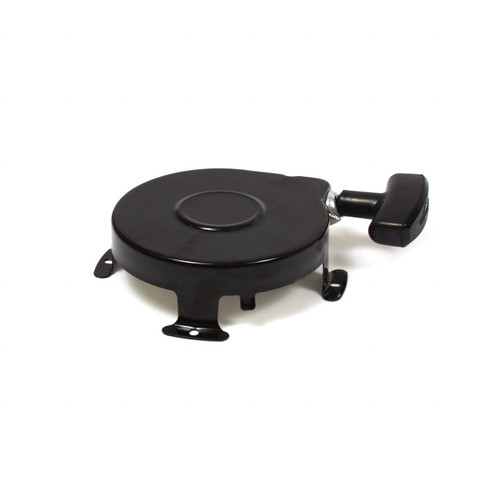 BRIGGSANDSTRATTON_390463_START