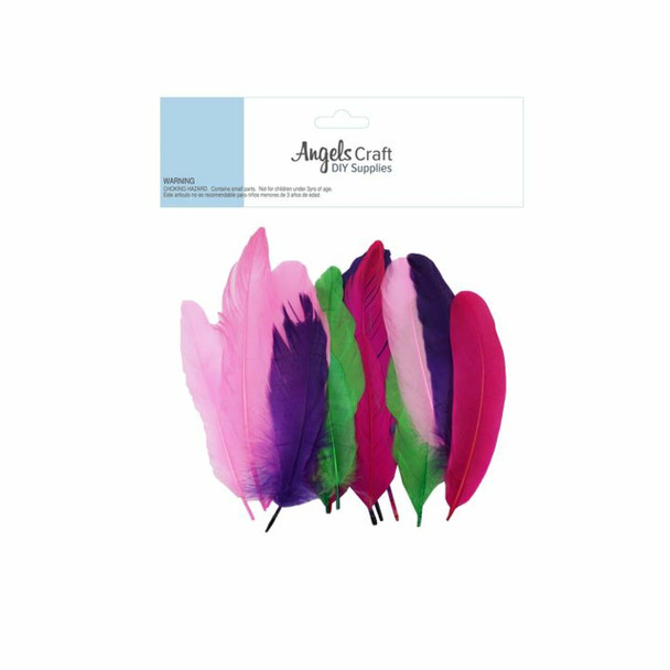 FEATHER ASSORTED COLOR MEDIUM 15 PC