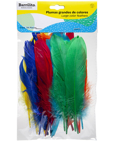 Plumas grandes de colores – Rincón Didáctico