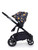 Cosatto Wow Continental Pram & Pushchair Bundle Debut