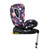 Cosatto All in All Rotate i-Size Car Seat Dalloway