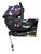 Cosatto Acorn I-Size 0+ Car Seat Dalloway