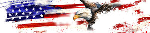 PATRIOT Eagle "250" Eagle Flag