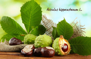 What supplements are diuretic?