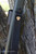 HCR Murray Leather HCR Rifle Sling in Black, close-up of the padded leather strap with embossed Hill Country Rifles logo and metal swivel hook, attached to a rifle against a tree bark background.