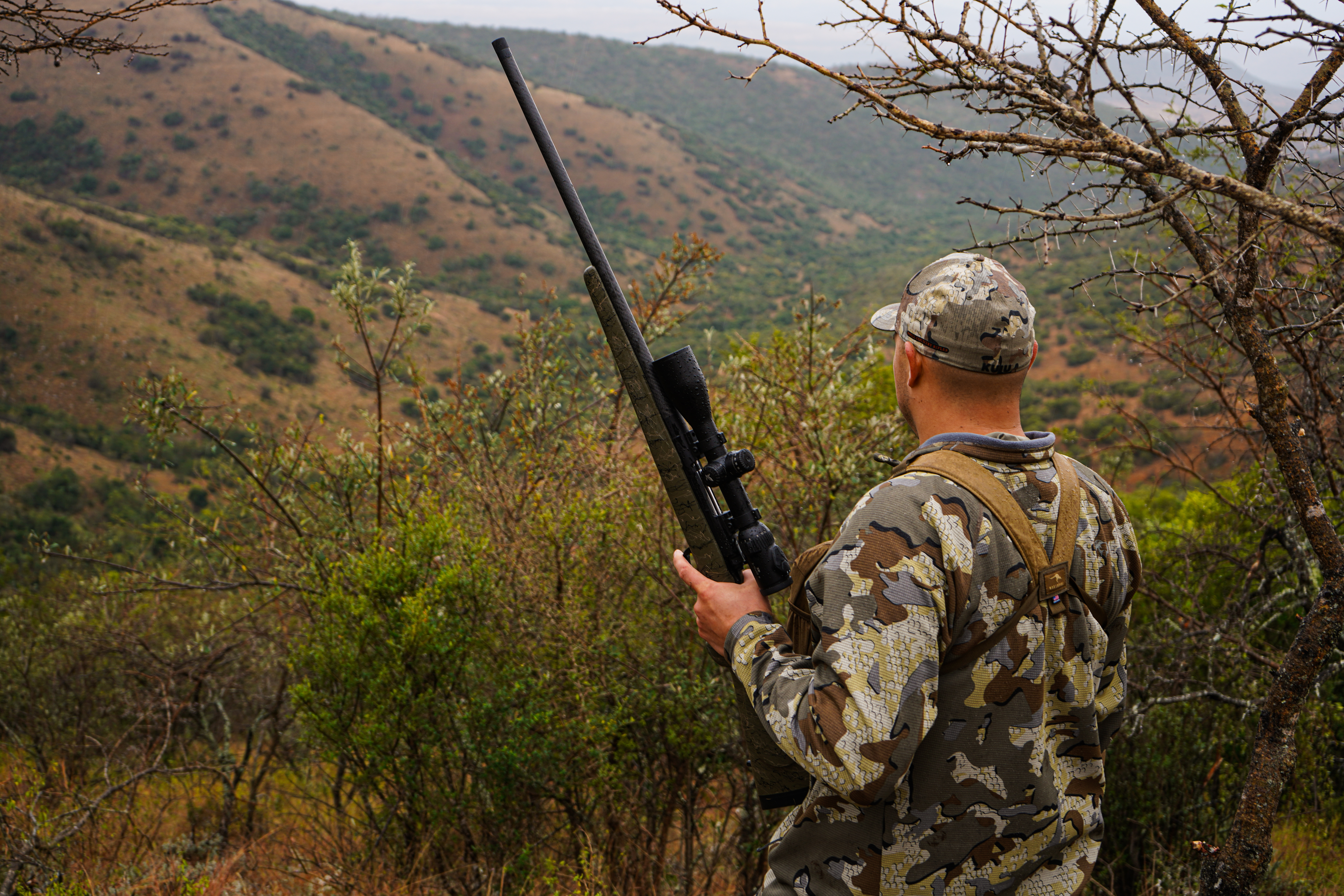 Alternative banner alt