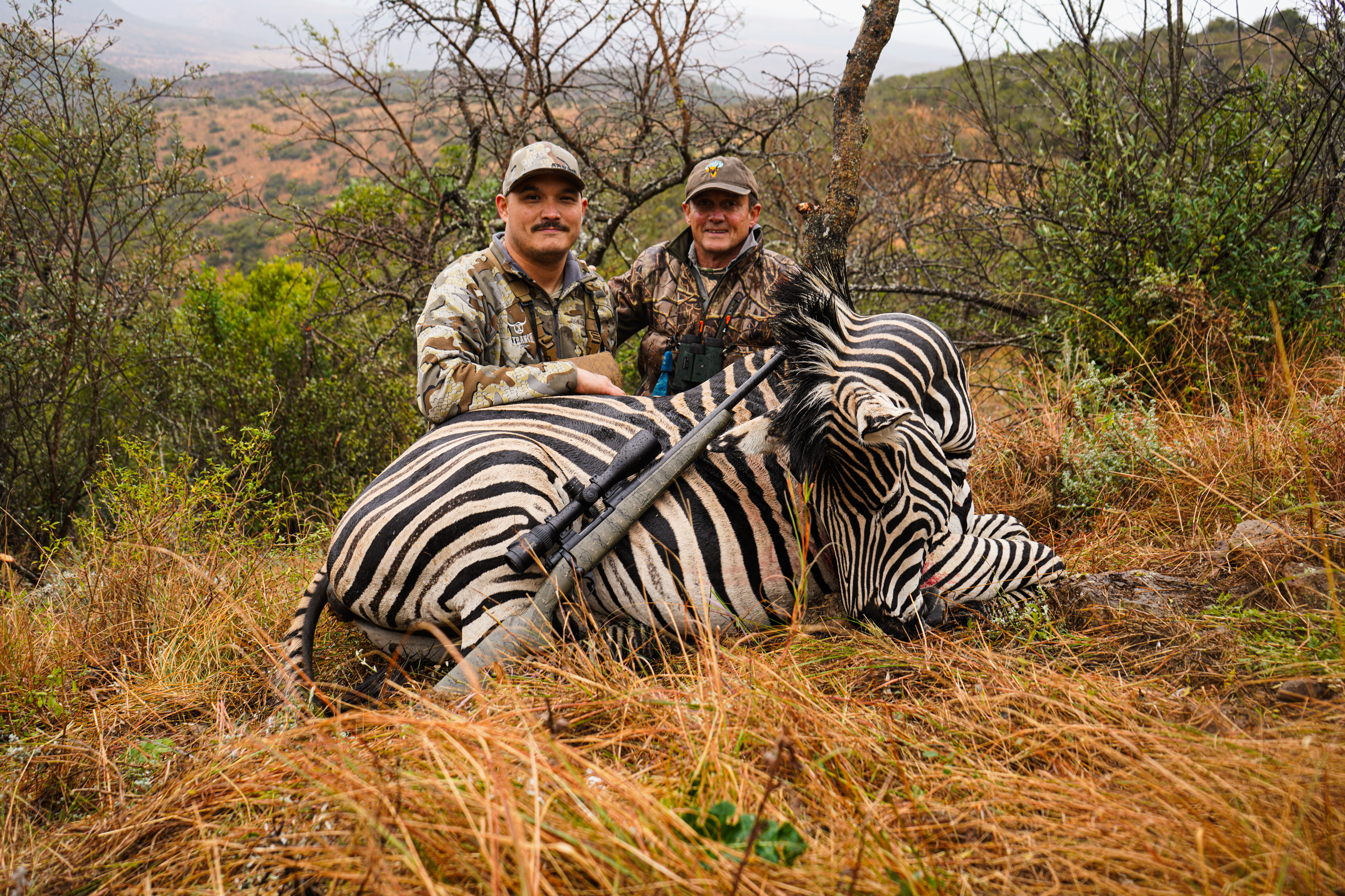 Alternative banner alt