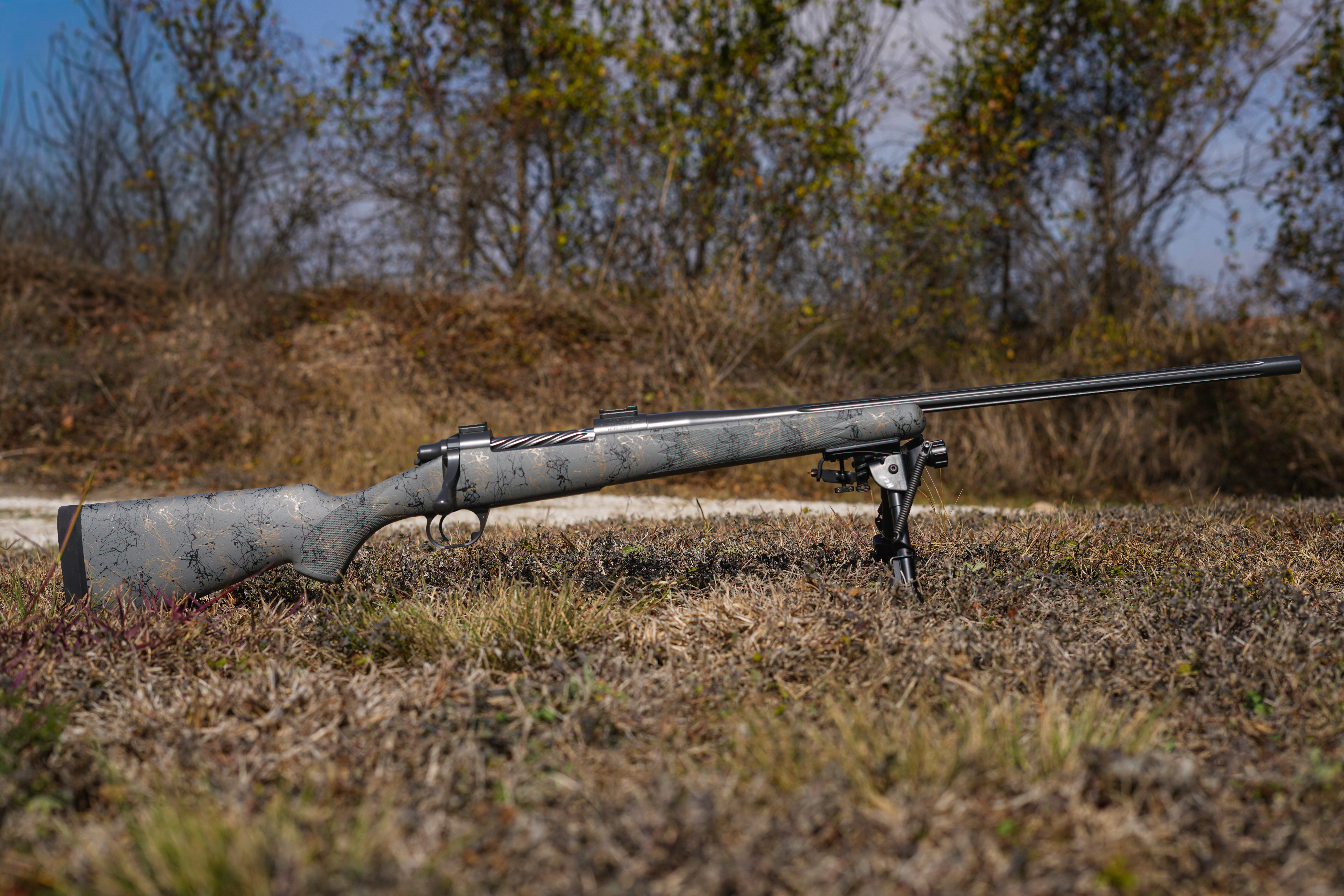 Alternative banner alt