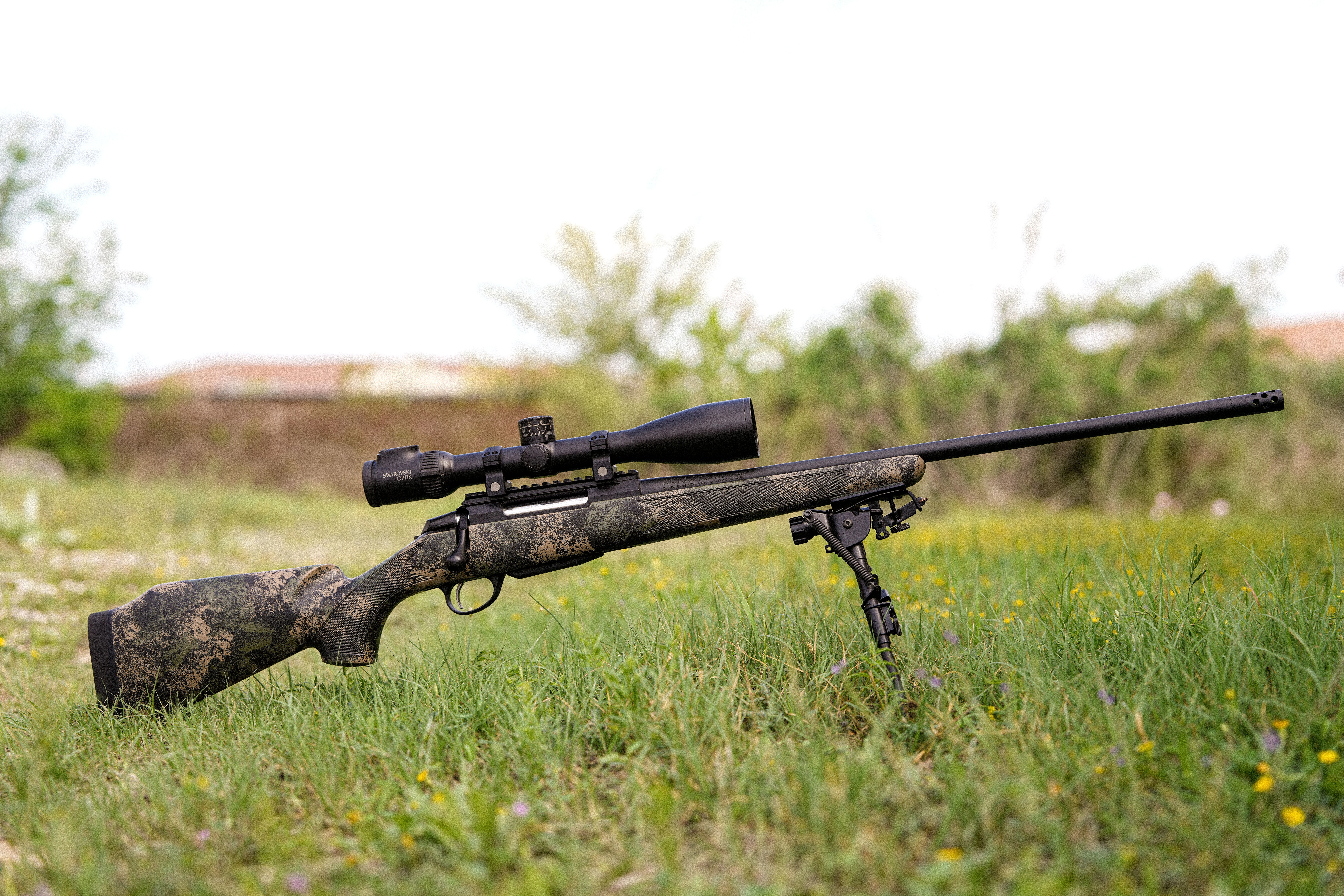 Alternative banner alt