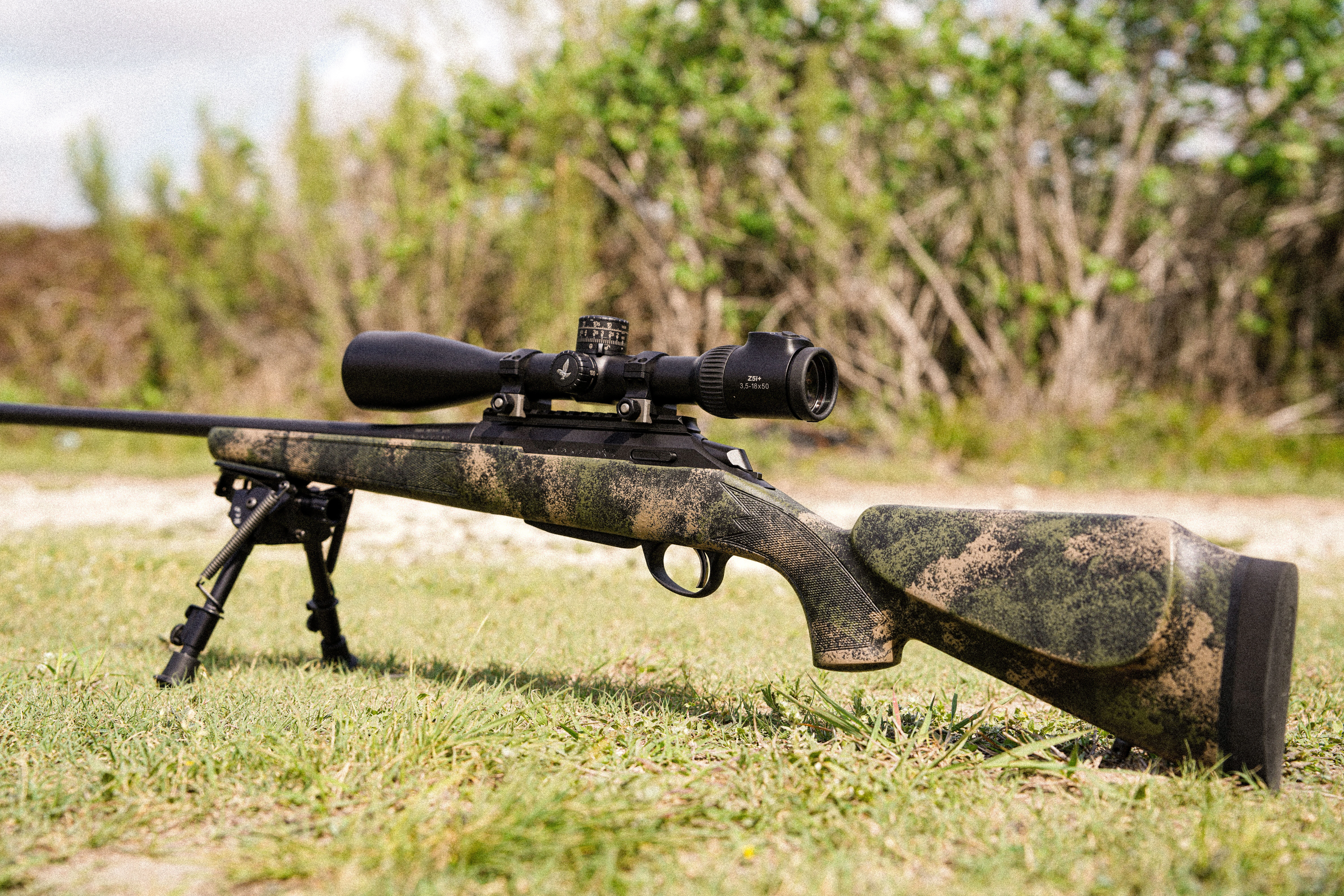 Alternative banner alt