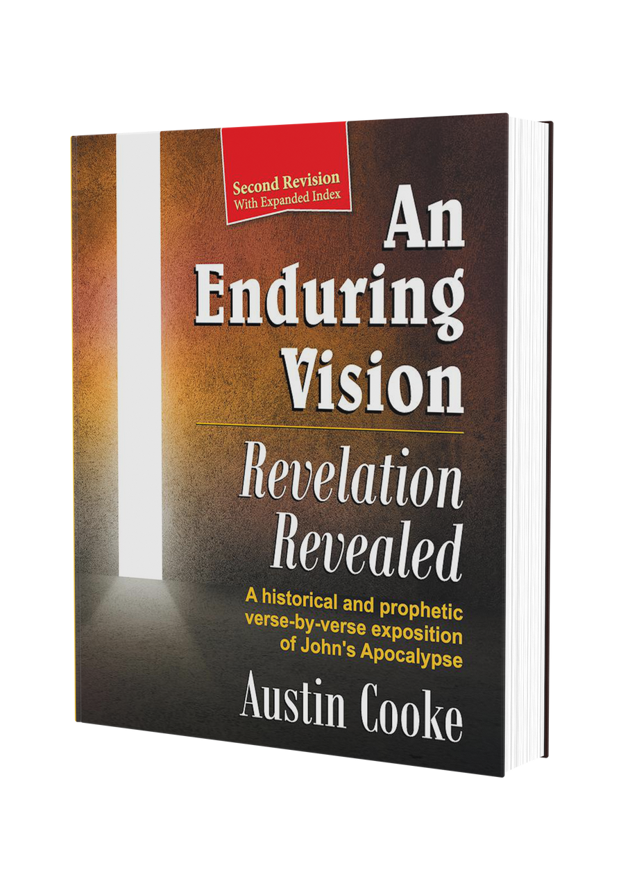 AnEnduringVisionbook3D__92935.