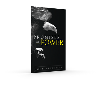 Front cover of the pocketbook "Promises of Power" by John Bradshaw.