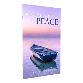 Promises of Peace (Pocketbook)