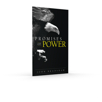 Front cover of the pocketbook "Promises of Power" by John Bradshaw.