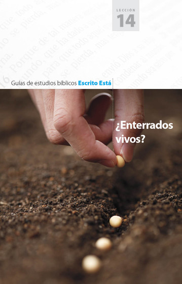 Guía de Estudio Bíblico 14 Bible Study Guide 14 (Spanish Version)