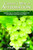 Christ's Way of Affirmation Christ's Way of Affirmation