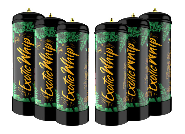 EXOTIC WHIP 670g (6PC/MC)