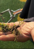 The Turf-Tec Synthetic Turf Comb is a professional maintenance tool designed to remove unwanted natural grass growing within synthetic turf systems