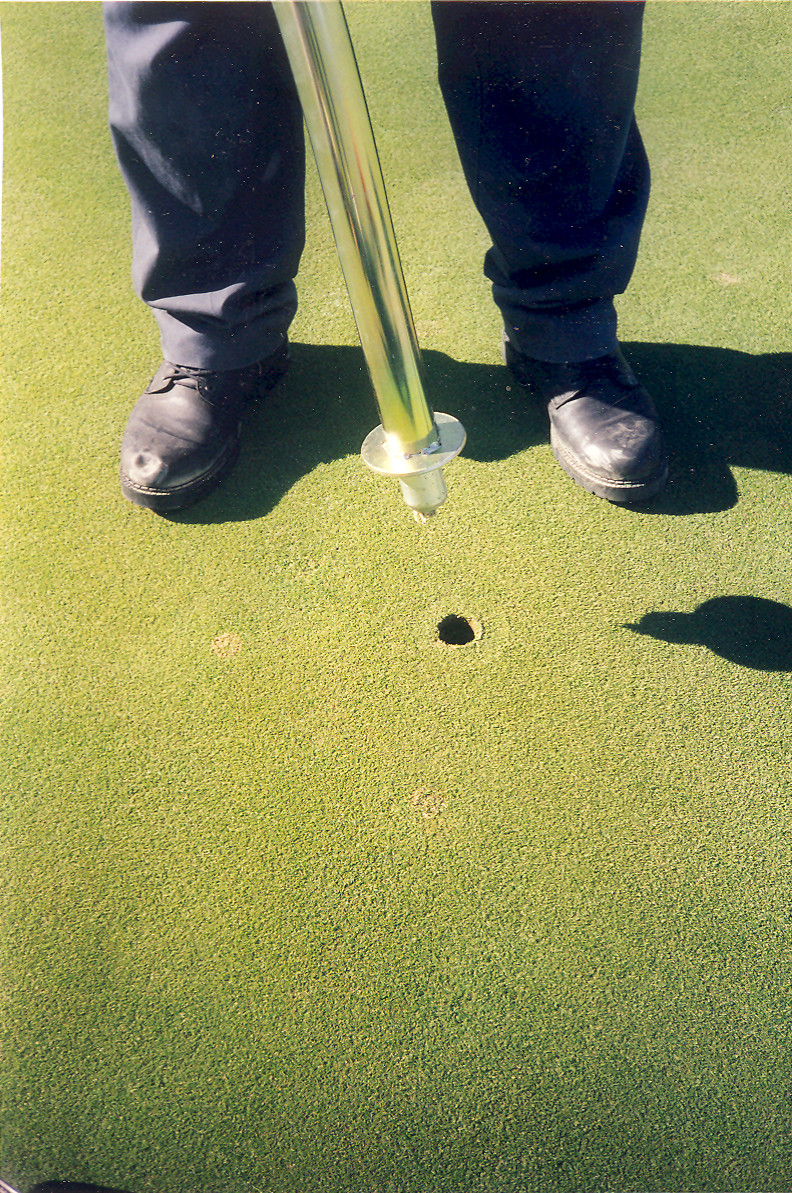 BMP1-M Duich Ball Mark Plugger - Twist and lift out