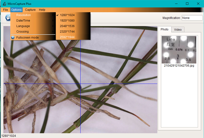 Turf-Tec USB Digital Microscope and stand - 20x & 300x - 5 Mega Pixel Camera