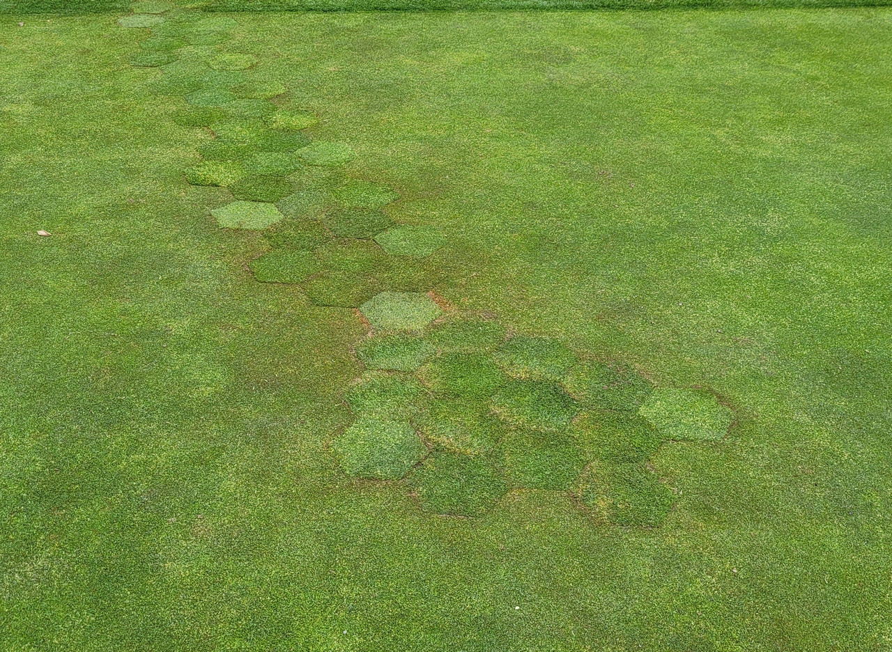 Miltona 9 Inch Adjustable Depth Hex-Plugger with Powerstroke Handle - Repaired area