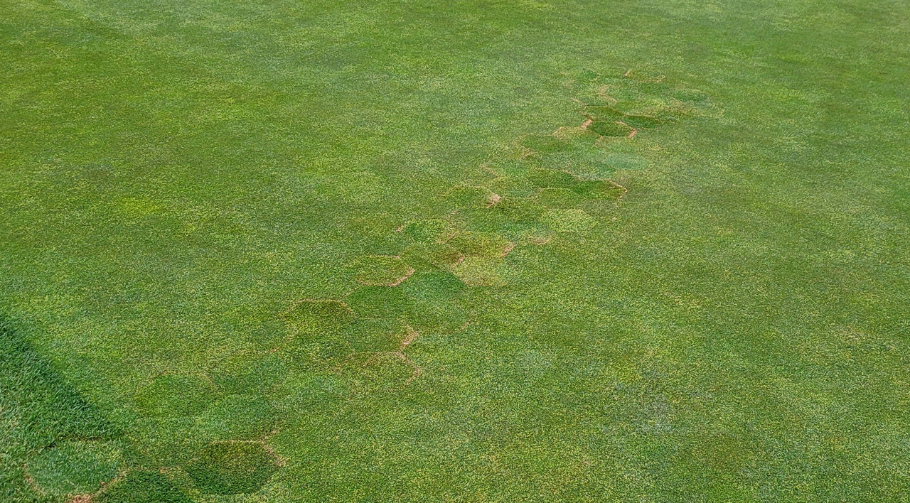 Miltona 9 Inch Adjustable Depth Hex-Plugger with Powerstroke Handle - Repaired area