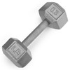 20lb Cast Iron Hex Dumbbell