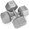 45lb Cast Iron Hex Dumbbell