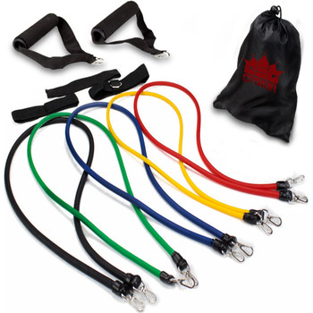 10 Piece Resistance Band Set with Carrying Case and Exercise