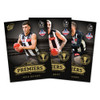 Collingwood Limited Edition Official AFL Premiers Card Set