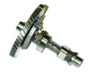 Clone Stock Camshaft Assy