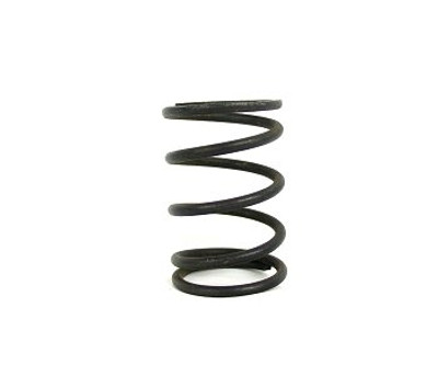 Dyno Box Stock Clone Valve Spring (10.8lbs @ .850" spring height) Hardened Red Stripe