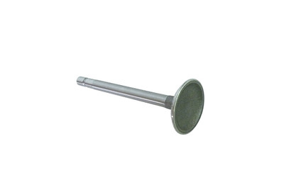 Stainless Steel 25mm Valve