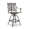 Milan Aged Bronze Cast Aluminum with Cushions 5 Piece Swivel Bar Set + 42 in. D Table