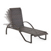 Terrace Outdoor Wicker 2 Piece Arm Chaise Lounge Set